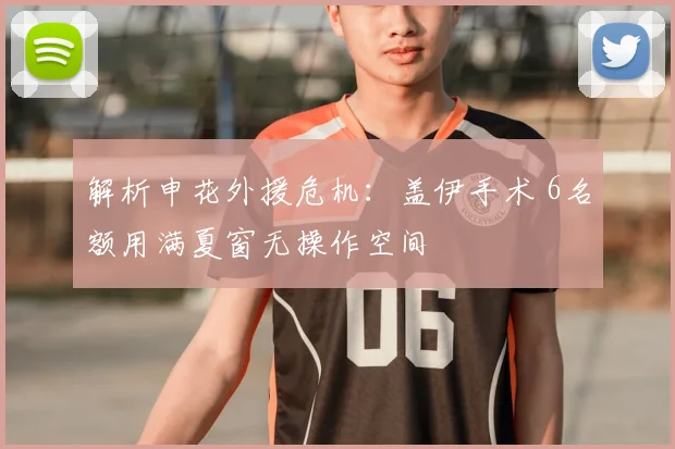 解析申花外援危机：盖伊手术 6名额用满夏窗无操作空间